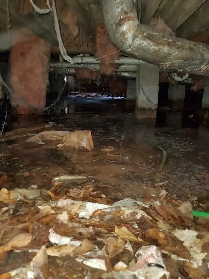Crawl space flood assessment for Commercial Water Damage Restoration in Paradise